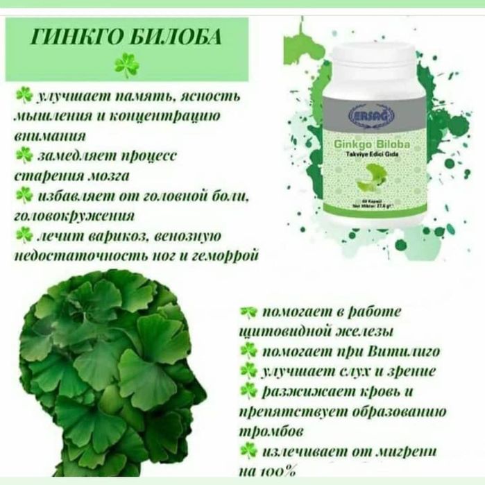 Ерсаг Турецкий компания