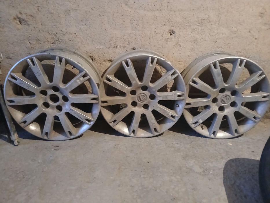 17 лик титанка сатамын!