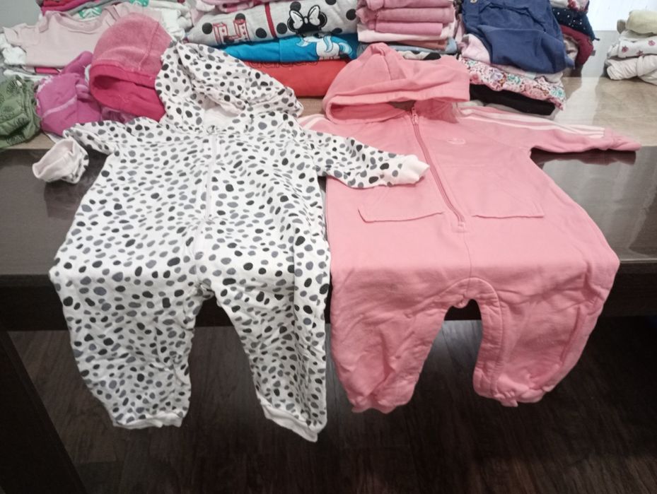 Vand lot primavara 1-2 ani