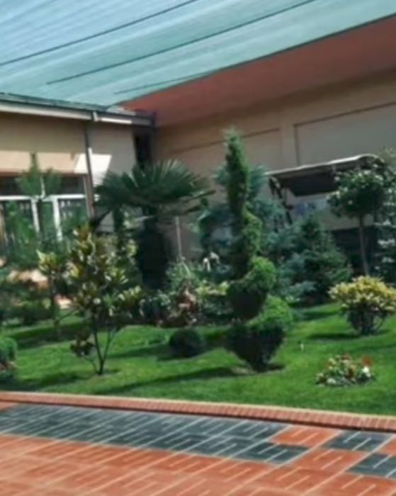 Gazonjdj. Archa ekamiz