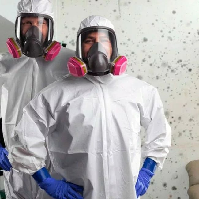 Дезинфекция дезинсекция dezinfeksiya klapa