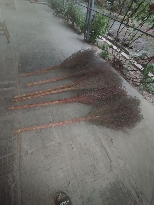 Веник сорго уличные.