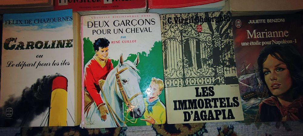 Cărți în limba franceză