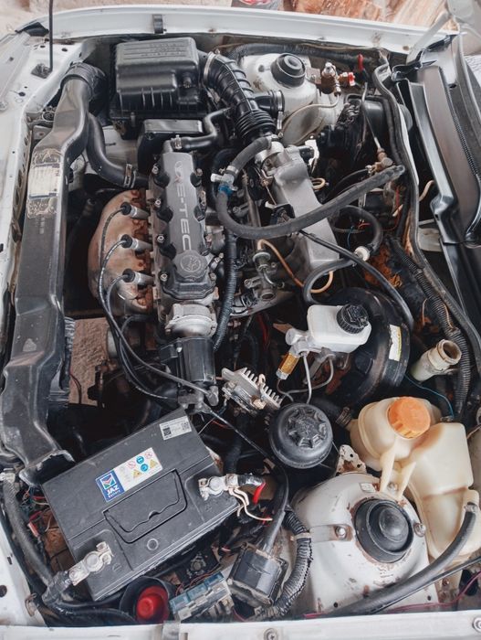 Nexya1 sotiladi chorvaga yam almashaman