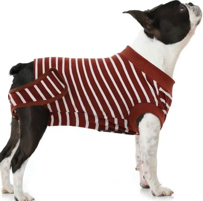 Body hăinuta recuperare medicală caini