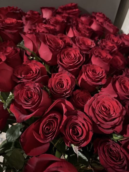 Голландские розы (1м, шт-69)