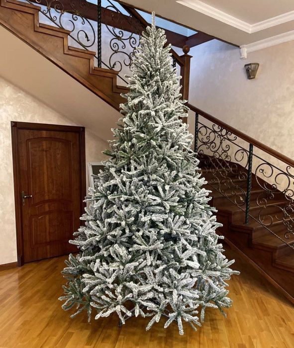 Ёлка высшего качества по низким ценам