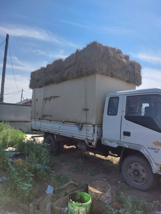 Продам сено в тюках и рулонах