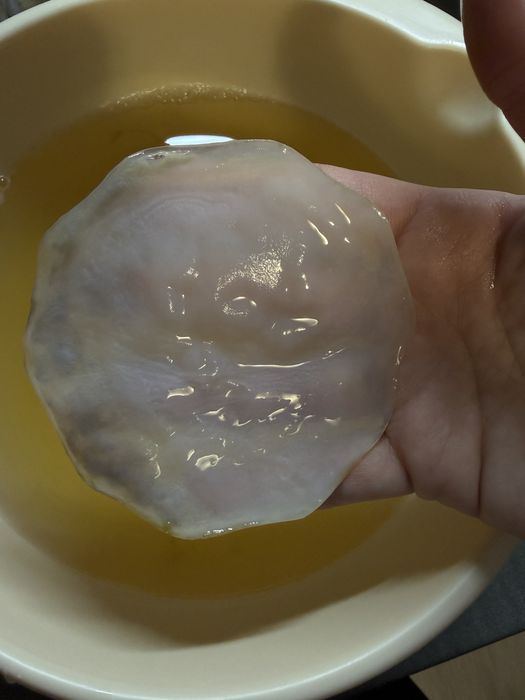 Ciuperca Kombucha