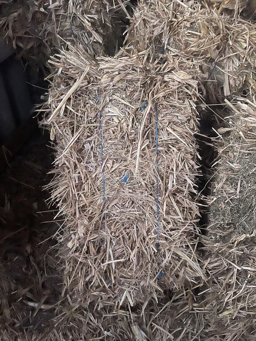 Vănd balotii de mături