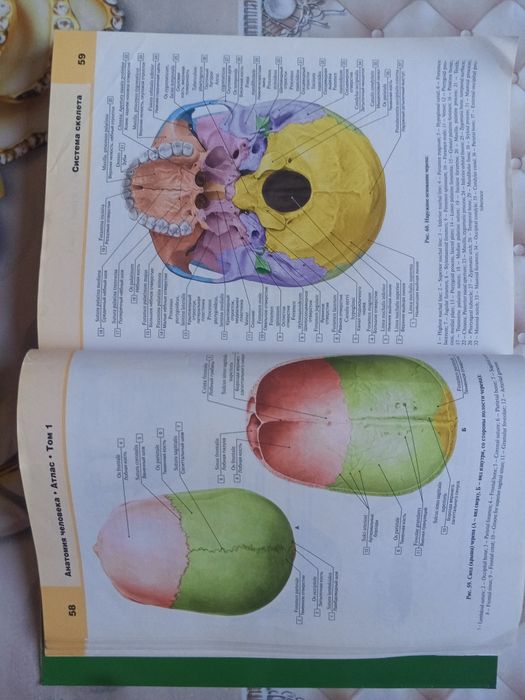 Atlas anatomiyasi sotiladi
