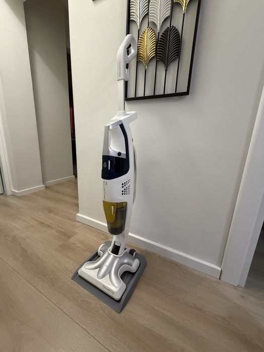 aspirator vertical cu abur rowenta