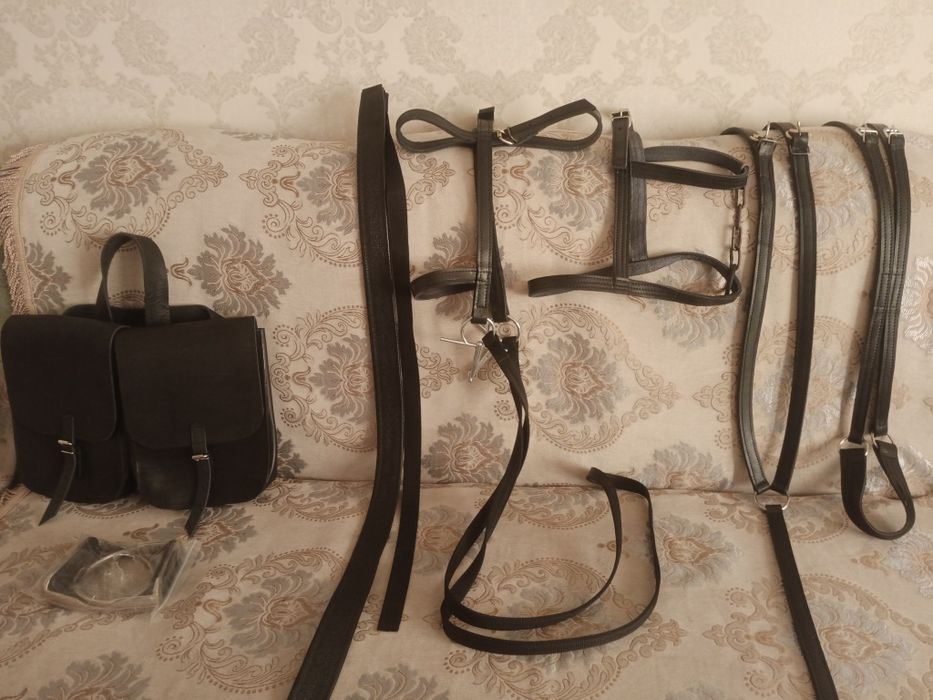 Ертоқым кожанные