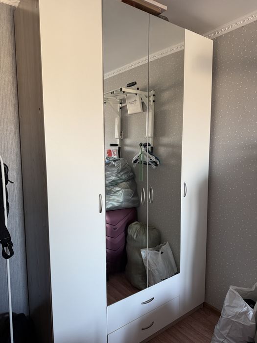 Шкаф плательный, шкаф книжный.