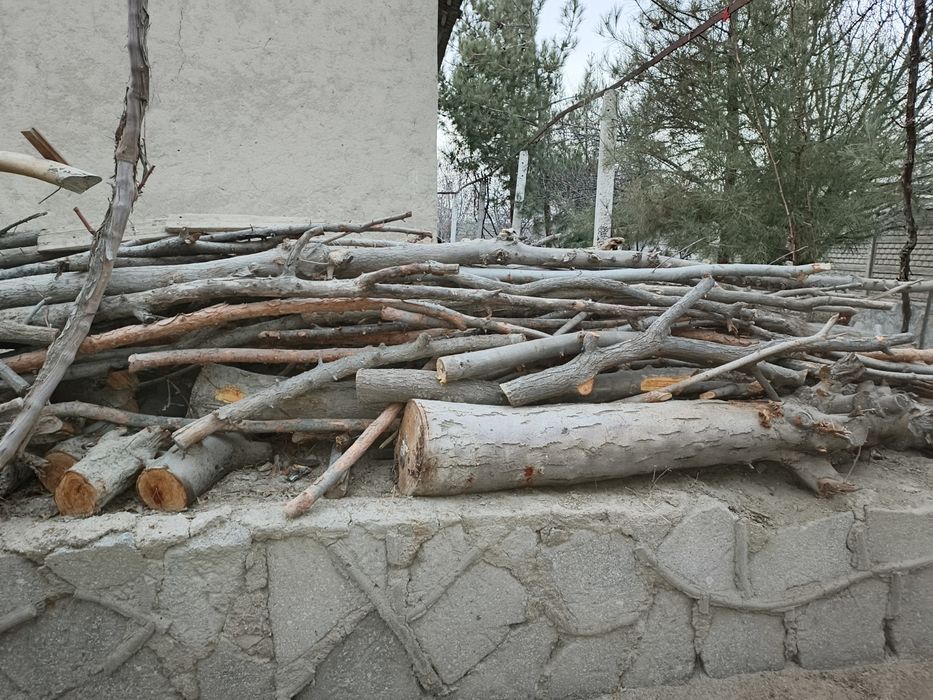 Bir ISUZU yuk moshin o'tin va kunda bor. Narxi 3 mln (bo'lishi shu).