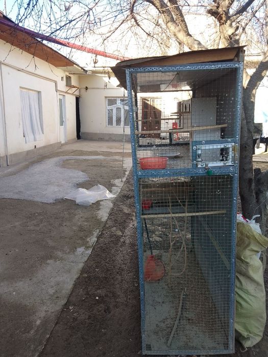 Куш у́йчаси сотилади.