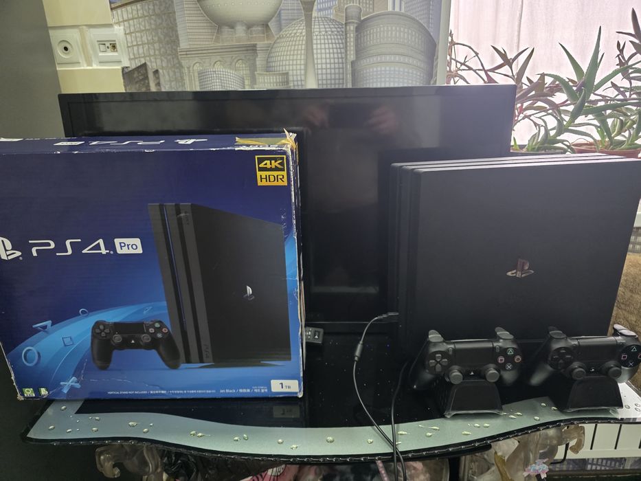 Plestyshin 4 pro 1 Trb