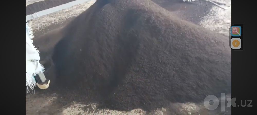Biyogoms  Yangiyoʻl