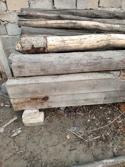 Болол бурус Лар сотилади