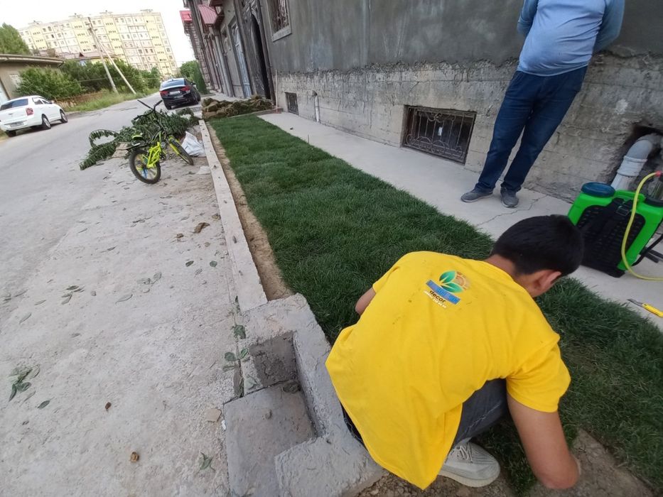 Gazon рулоные газоны доставка и установками