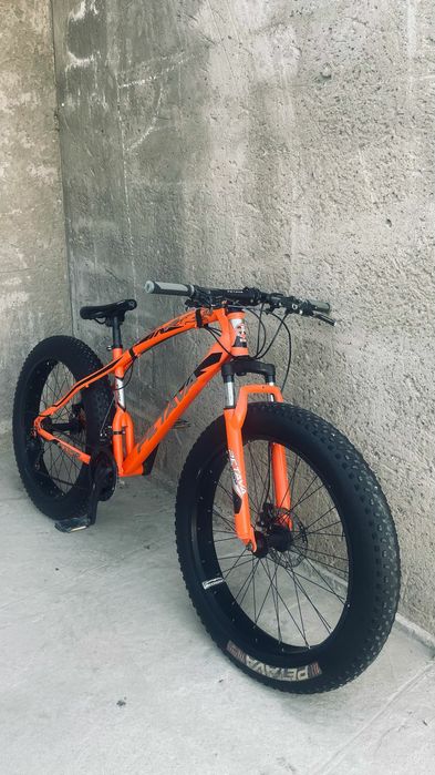 Фэтдбаик PETAVA сатамын, өте жақсы күиде тур