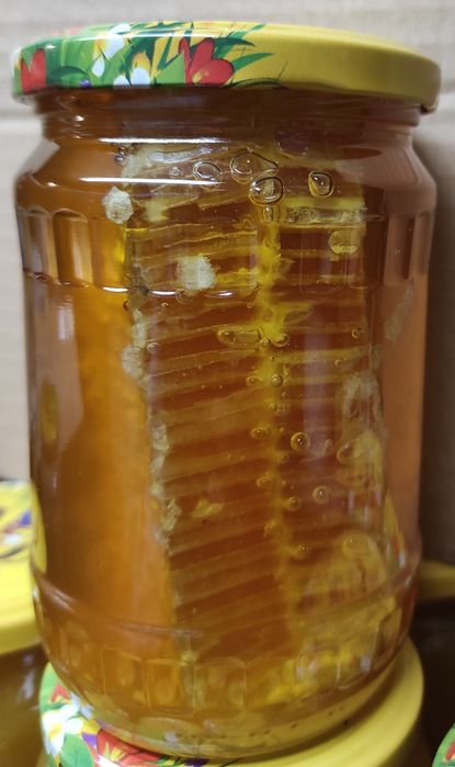 Пчелна пита с мед / мед в пита /  мед с разпечатка РЕКОЛТА 2025