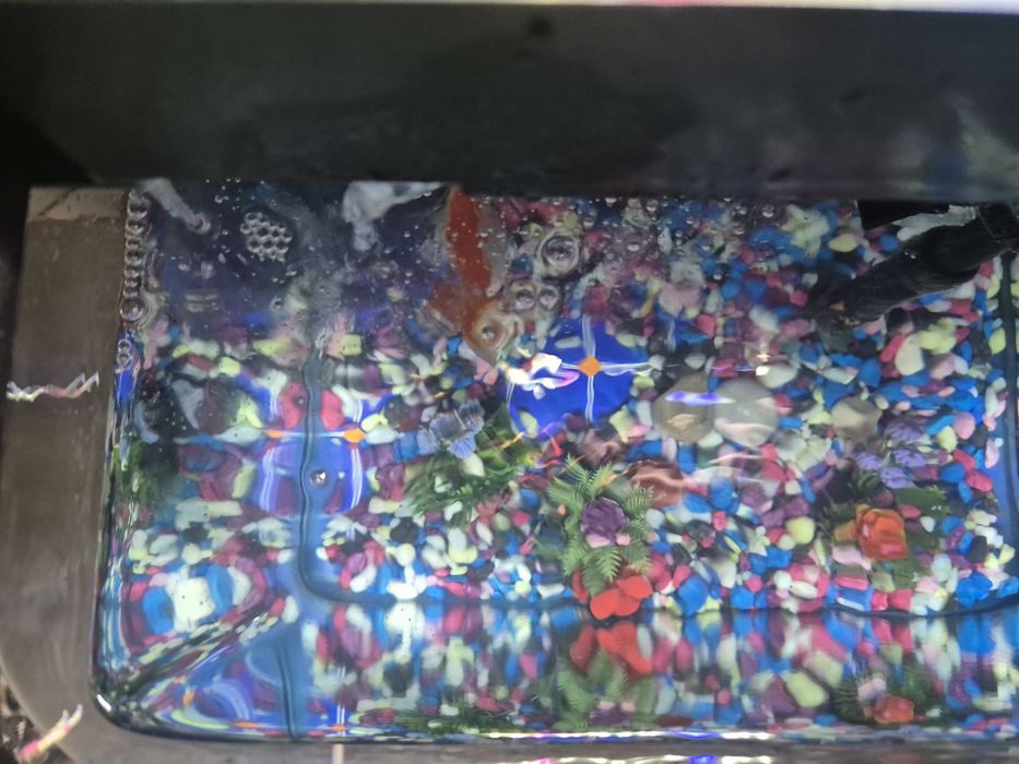 Аквариум с рыбками