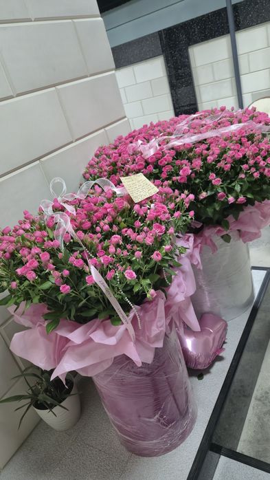 Цветы кустовые спрей розы