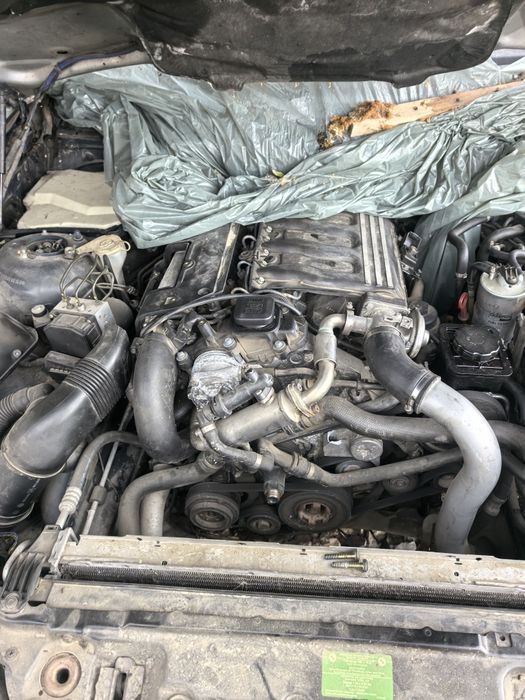 Bmw e39 520d 2003г фейс