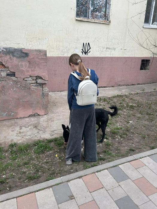 Выгул собак в Астане