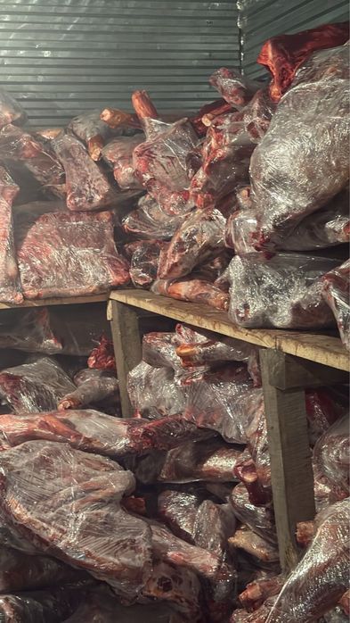 Колбасное мясо оптом, 20 тонн.