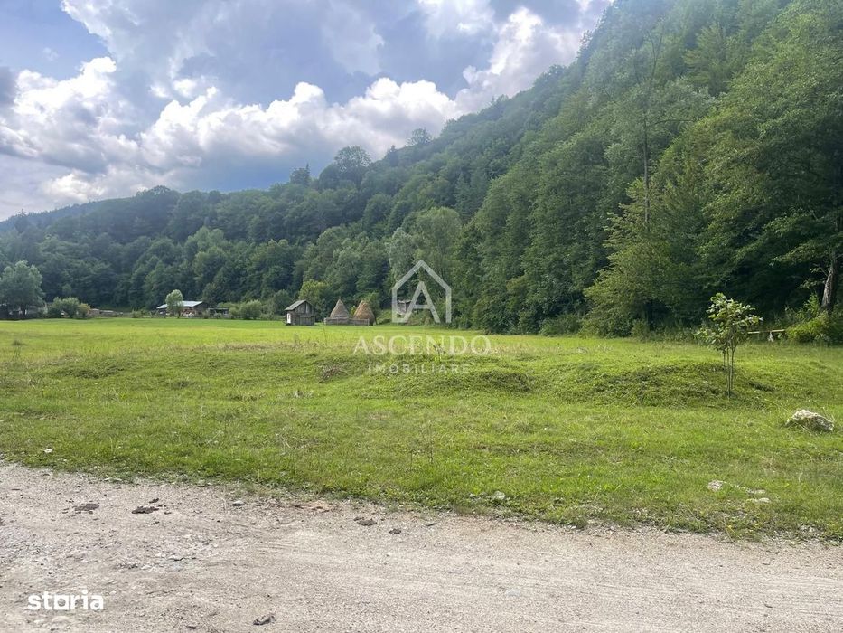 Teren Investiție Turistică Dâmbovicioara Baranga | 4.500 mp
