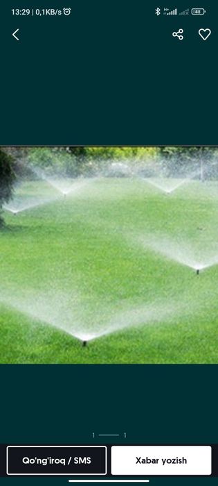 Газон, палиф, ланшафт, дорилаш