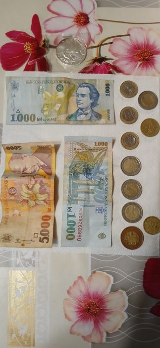 Monede vechi bacnote
