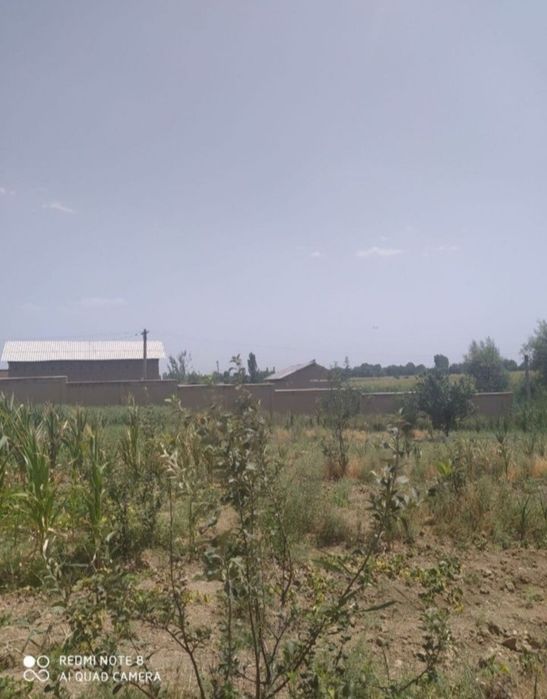 Nazarbek Namangan mahalla 6 sotix yer