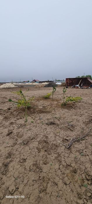 Продается Дачный Участок