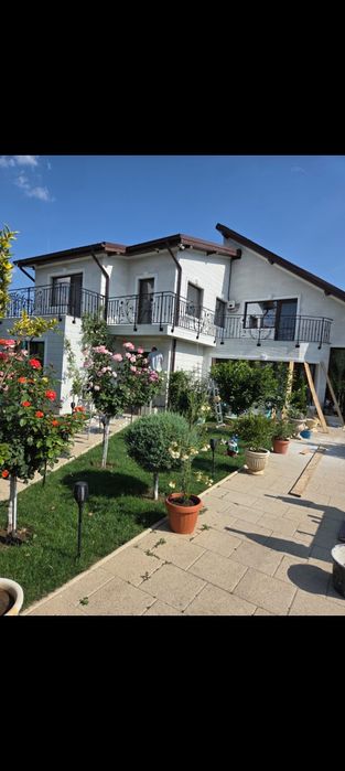 Placi decorative