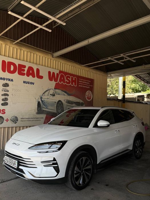 Byd chempion Gibrit 150 tali