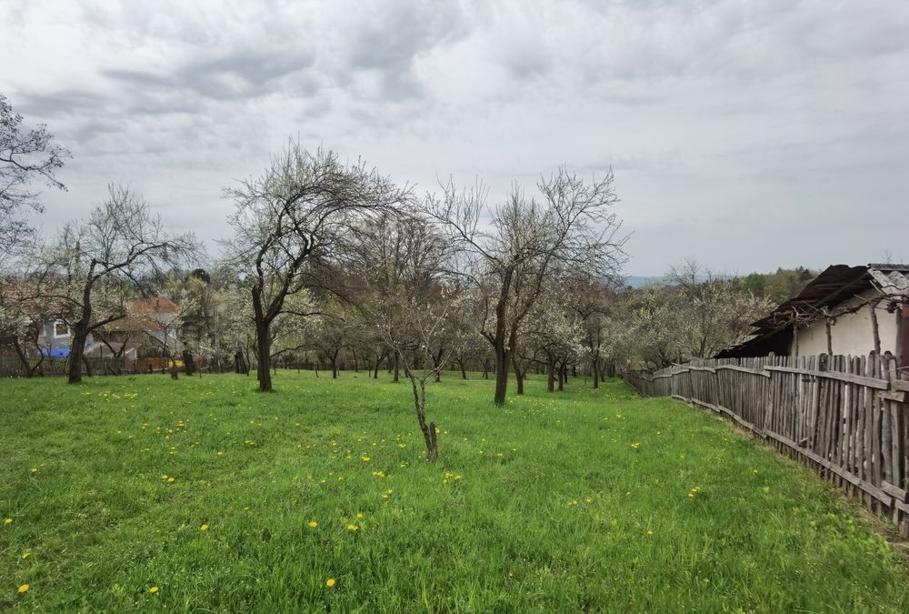 2500 mp - zona Arges, comuna Berevoiesti -sat Otelu