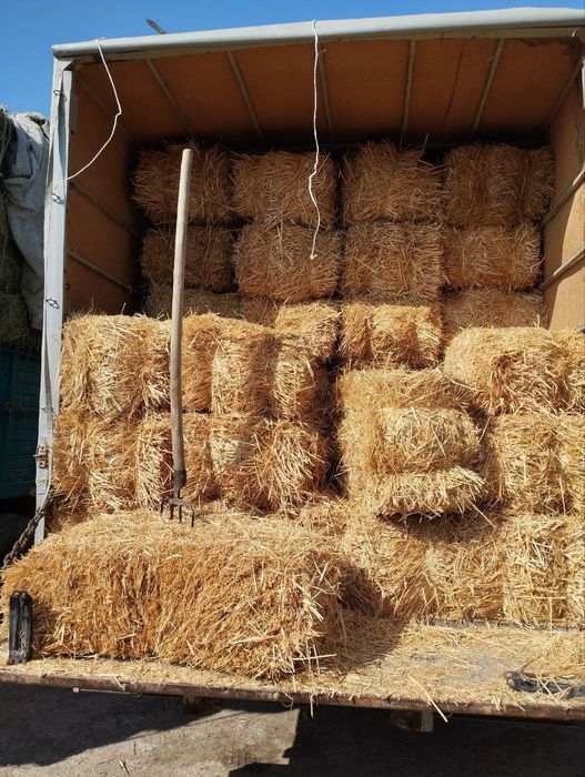 Somon pres bor. Yetkazib berish ham bor