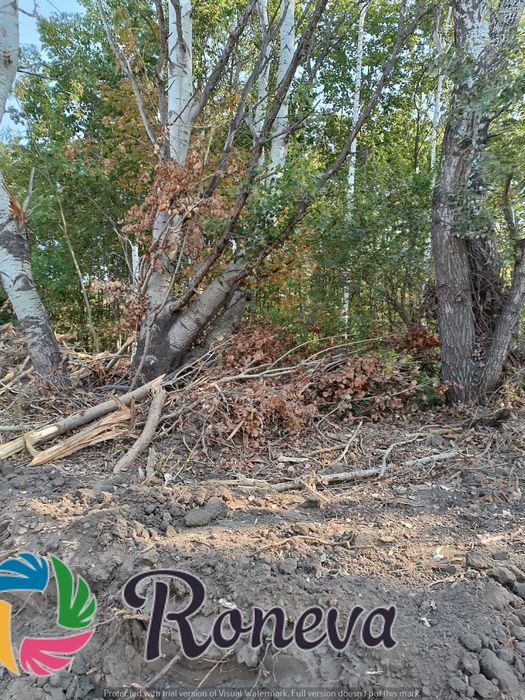 Продава се Парцел в Варна, Западна промишлена зона - 3001 кв.м за 85 €/кв.м - Снимка #5