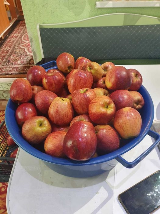 Яблочный уксус, 100% на мёде 0,5 л-3000 тен. 100% полезен