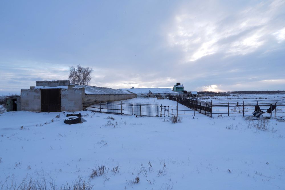 Продажа здания в поселке Новоселовка