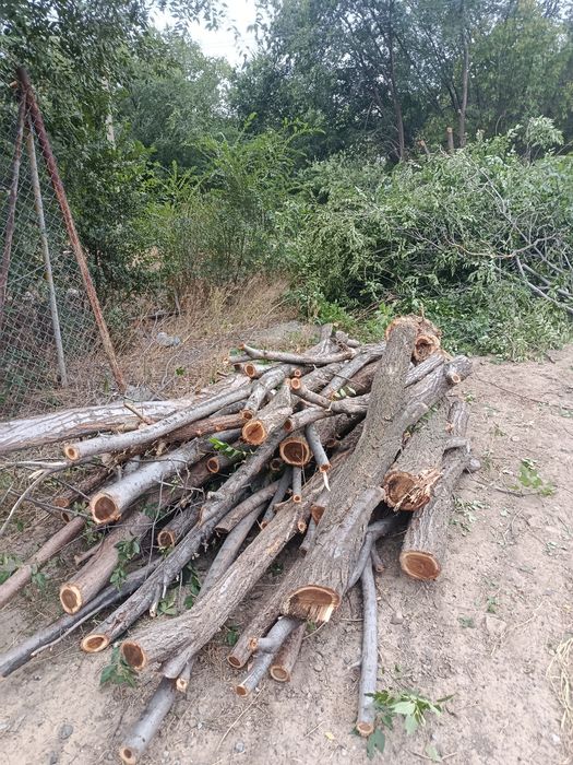 Продам дрова по дешёвке
