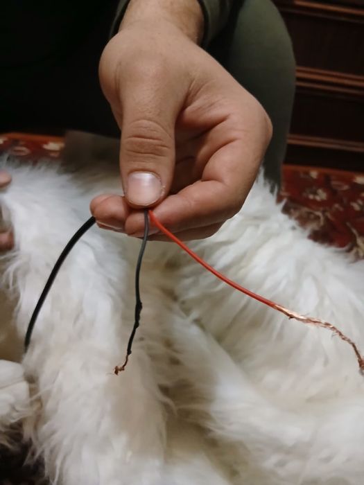 Продам анематорского белого медведя