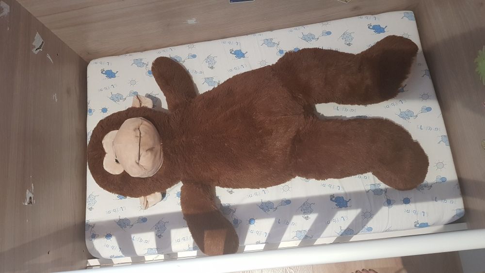 Кошара, легло, скрин