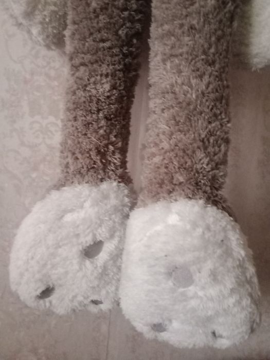 Заяц , рост  110 см .