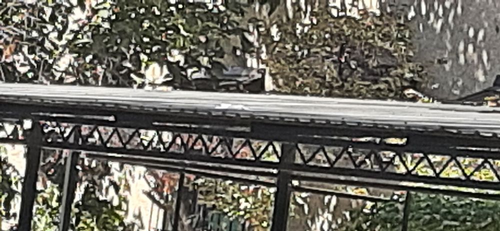 Том ёпамиз навес ёпамиз