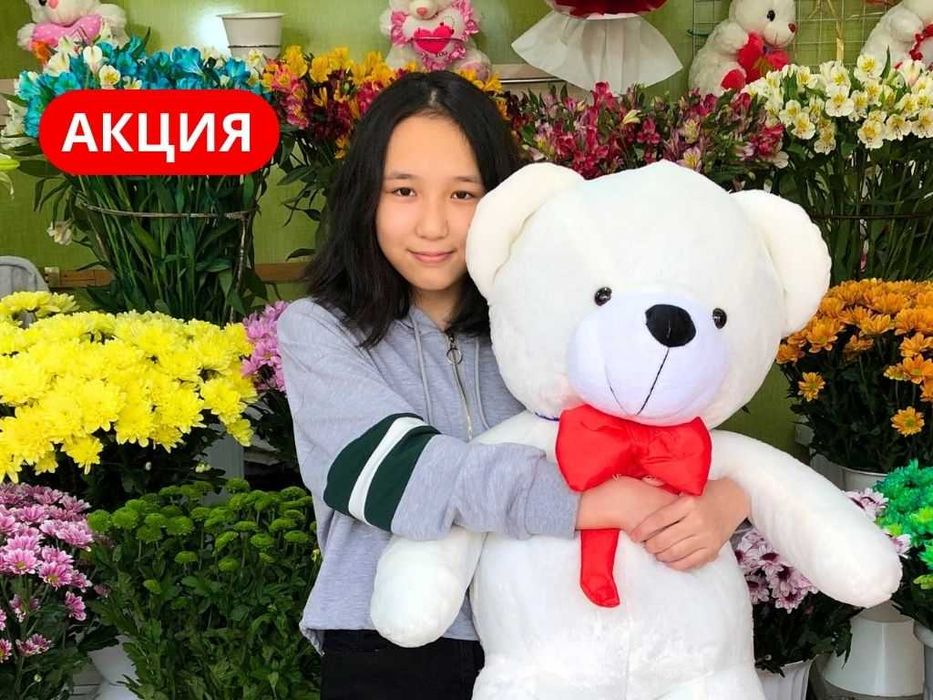 Мягкие Мишки Игрушки Плюшевые Подарки Шымкент Букеты Шары Медведь