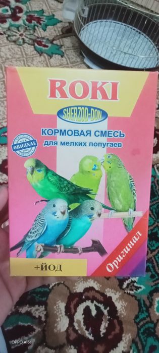 Папугай сатылады 2 уиасы менен быргелыкте